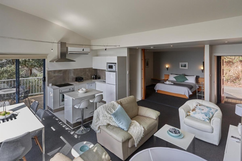Luxury One-Bedroom Apartment - Vines